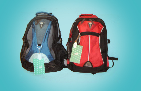 Laptop Pitthu Bag