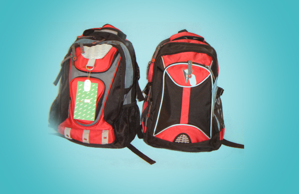 Laptop Pitthu Bag