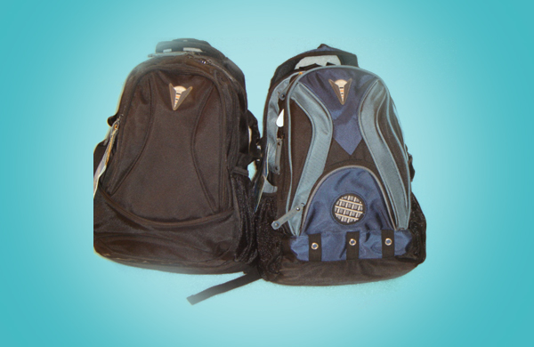 Laptop Pitthu Bag