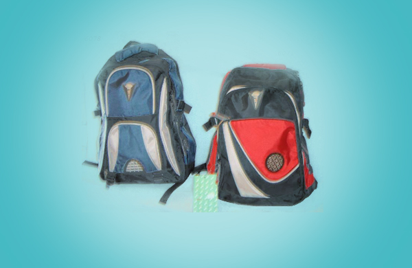 Laptop Pitthu Bag